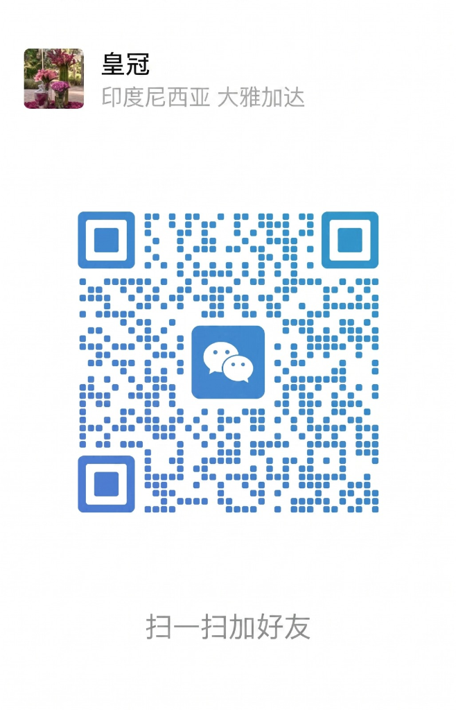 WeChat QR Code - 皇冠